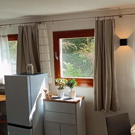 Modern With Bathroom Shower And Kitchen Ebhausen