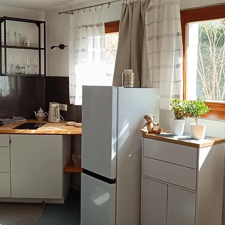 Apartment Modern With Bathroom Shower And Kitchen